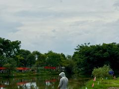 -金谷域澳洲庄园