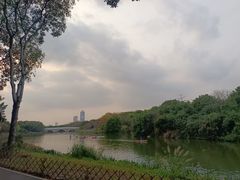 -海珠湖公园