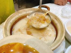 鸡煲中勾翅-凤城礼记鱼翅海鲜酒家(新马路总店)