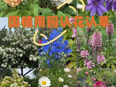 -国家植物园南园