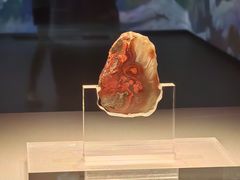 -北京大葆台遗址博物馆