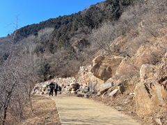 -北京西山国家森林公园