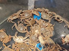 -星伦多自助料理·涮烤一体(江桥万达店)