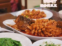 松鼠桂鱼-白魁老号饭庄(交道口店)