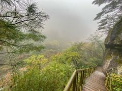 -青峰峡国家森林公园