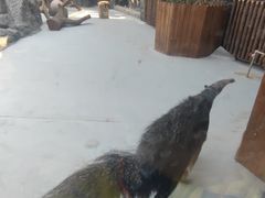 -武汉动物园
