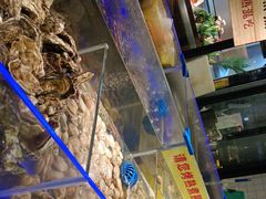 -锅儿欢海鲜火锅烤肉自助餐(东港凯虹店)
