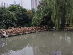 -四川大学(华西校区)