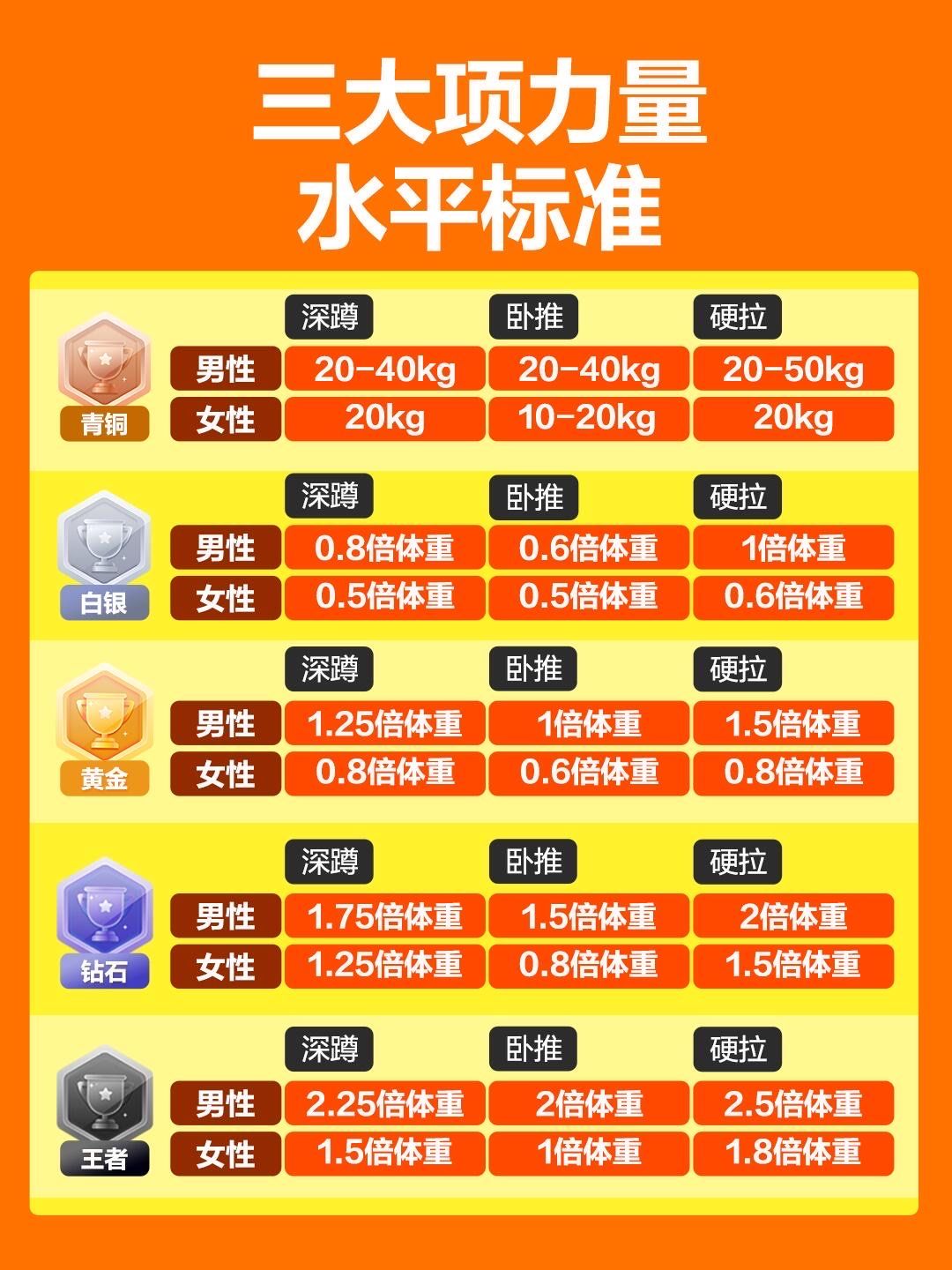 力量训练五大等级,解锁你的健身潜能
