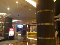 -武汉江城明珠豪生大酒店