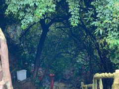 -黄腾峡天门悬廊