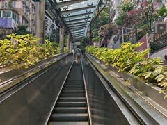 -香港大学