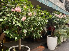 -SONGUOLIFE松果咖啡(七莘路店)