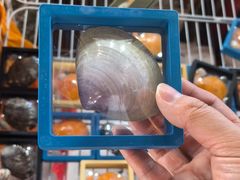 -蓝湾碧波·老字号·疍家非遗海上餐厅