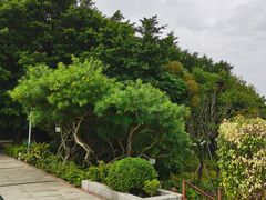 -南国桃园旅游度假区