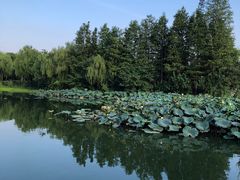 -南通濠河风景名胜区