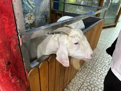 -上海大自然野生昆虫馆(东方明珠·爬宠昆虫探索中心)