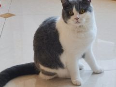 -Catmate·猫肥家润(金润铂宫店)