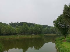 -东郊湿地公园