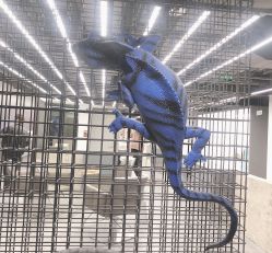 -斑斓色彩沙龙
