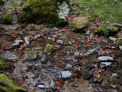 -醍醐寺