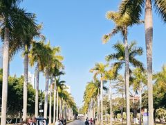 -厦门大学(思明校区)