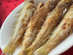-蛇口康乐快餐鱼仔档(翠苑小区店)