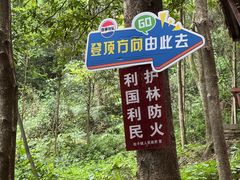 -凤栖山