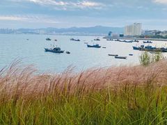 -海源公园