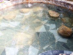 -深业半汤御泉庄温泉