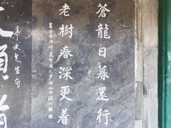 -报国寺