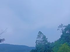 -广州白江湖森林公园