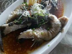 -高老庄绿色传奇(昊元生活广场店)