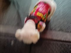 -东北酱骨头馆(蓁巷店)