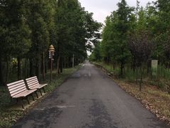 -上海长兴岛郊野公园