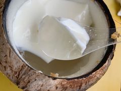 -椰爺爺·椰子冻砵仔糕