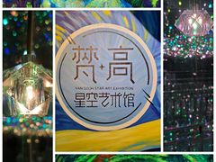 -梵高星空艺术馆(北京旗舰店)