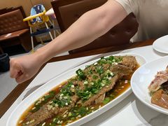 红烧大鲤鱼-梅利汴京烤鸭•开封豫菜地标店(东大街店)