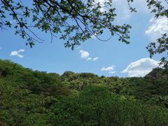 -大岭沟猕猴桃谷风景区