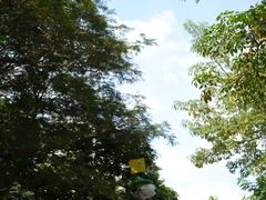 -史努比缤纷世界