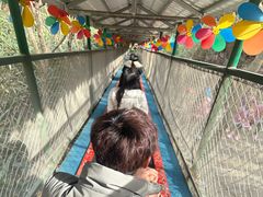 -老君洞旅游度假区