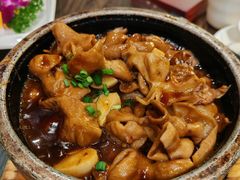 -芙蓉凰花园酒楼