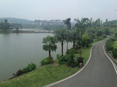 -枫香湖儿童公园