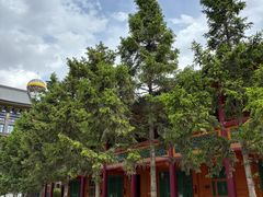 -西宁市东关清真大寺