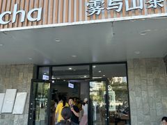 -雾与山茶(大禹城店)