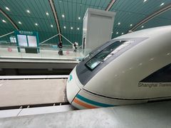 -龙阳路磁悬浮列车总站-停车场