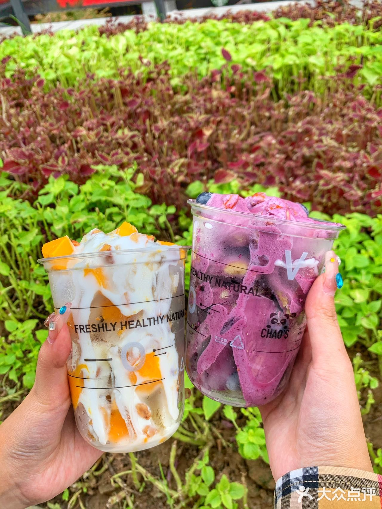 艾炒酸奶[吐] 终于让我挖到宝啦