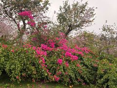 -广州莲花山旅游区