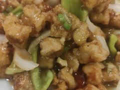 -邵年鸽(杨庄店)