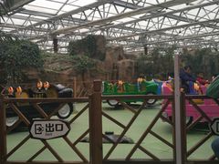 游乐设施-南宫五洲植物乐园